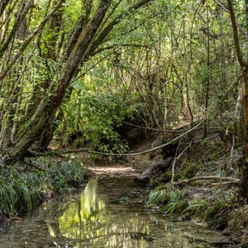 Percorso della Val Trippera e dei Borghi
