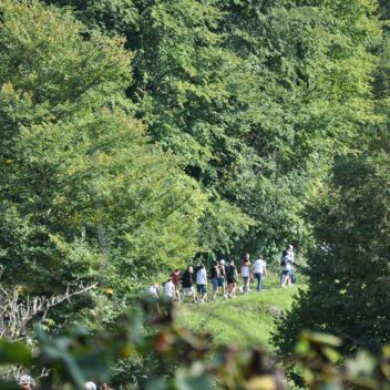 Sentiero naturalistico dei Landri e dei Landron