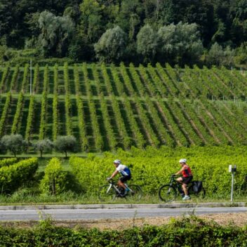 Sentiero lungo il torrente Cervano