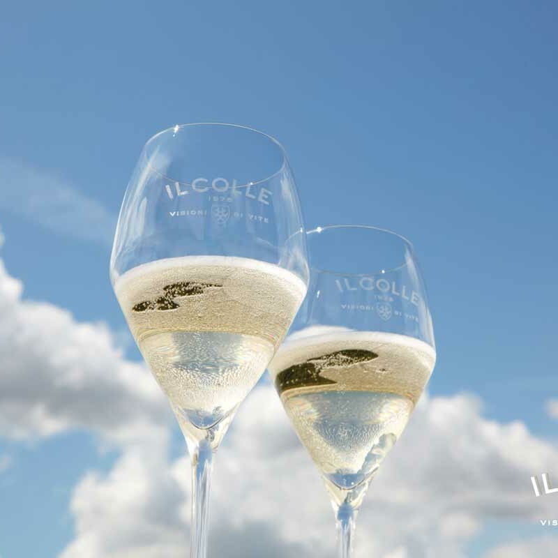 Il Colle Azienda vitivinicola