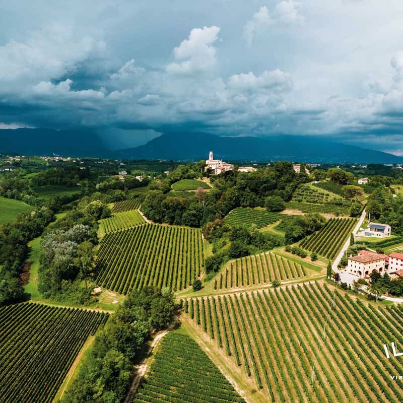 Il Colle Azienda vitivinicola
