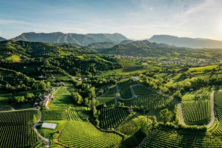 Sentieri naturalistici Sentieri naturalistici