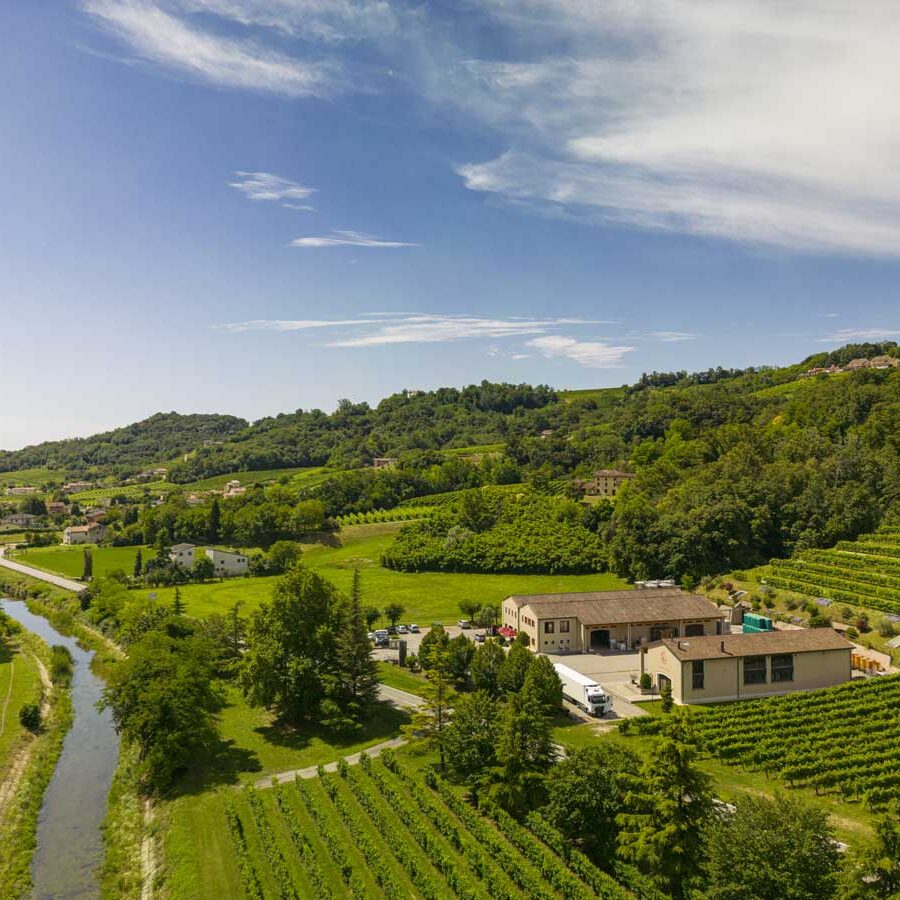 Le Manzane Azienda Vitivinicola